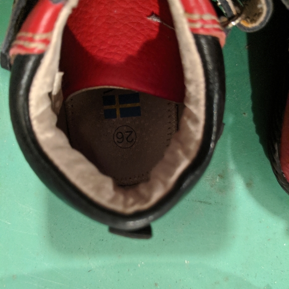 Vicente - Picture 4 of 4